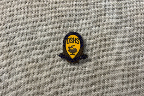DSHS (Domestic Science High School Dalby) Enamel Badge