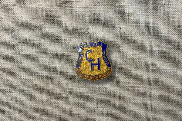 Vintage Camp Hill State School Badge