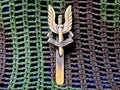 S.A.S.R Bronze Pin